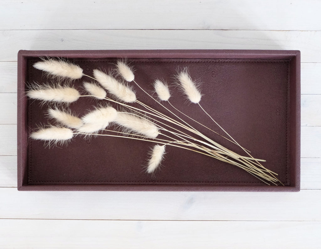 Viininpunainen keinonahkatarjotin Sting – 38×19×3,5 cm, himmeä pinta
