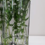 Kapea 3-osioinen lasimaljakko harmaa