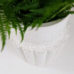 Valkoinen matala maljakko